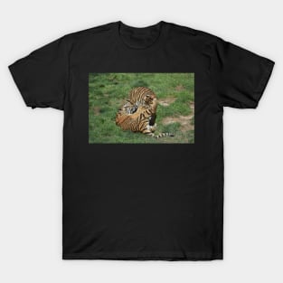 Tiger Cubs T-Shirt